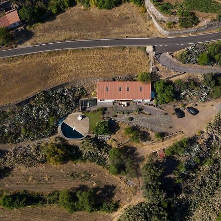 Finca En El Corazon De La Isla Tejeda  Ngoại thất bức ảnh